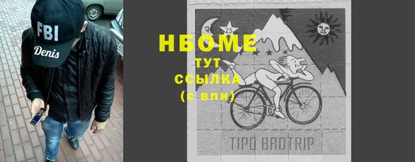 индика Аркадак