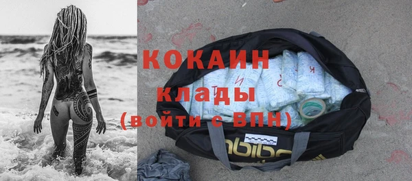 индика Аркадак