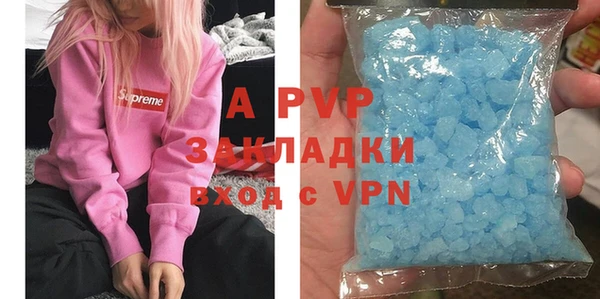 ГАЛЛЮЦИНОГЕННЫЕ ГРИБЫ Сясьстрой