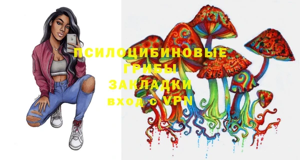 индика Аркадак