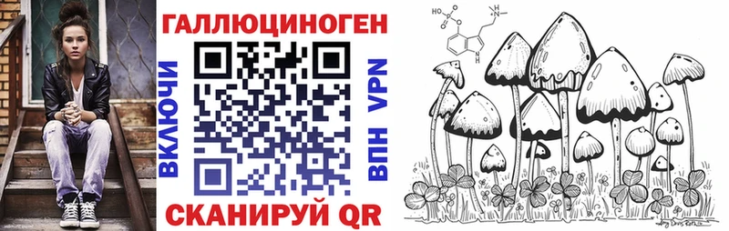 Псилоцибиновые грибы мицелий  продажа наркотиков  omg рабочий сайт  Боготол 